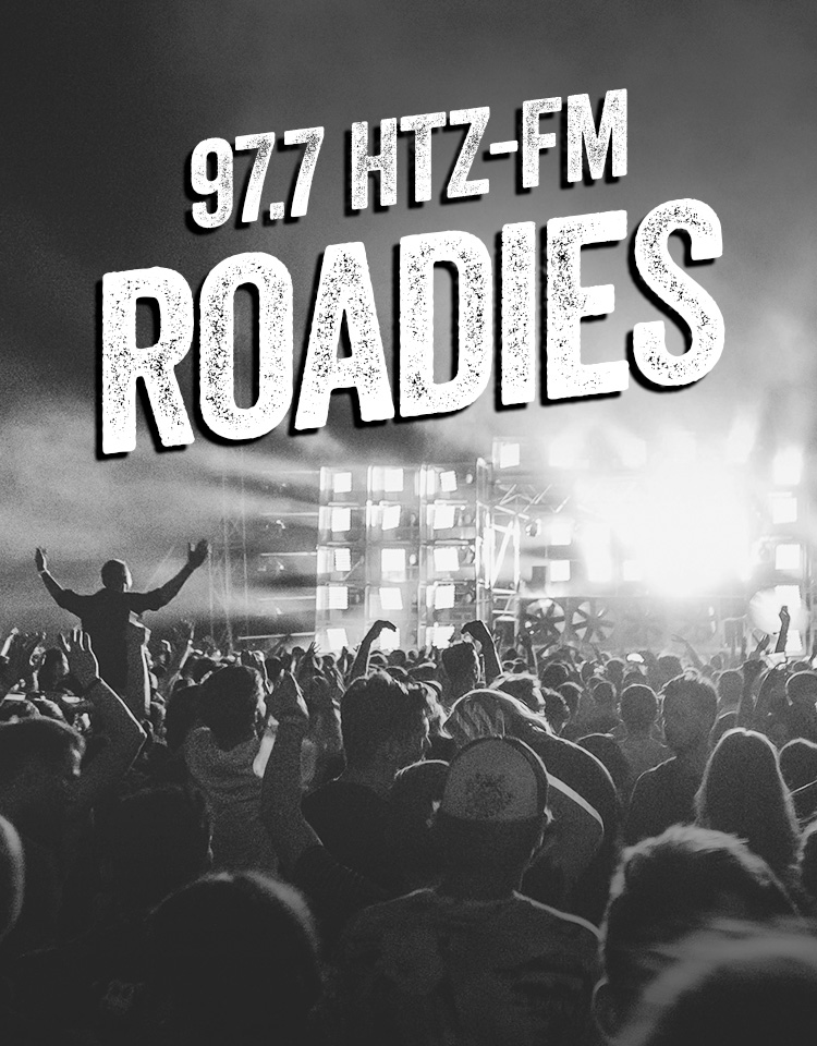 Black and White Image of crowd at a concert