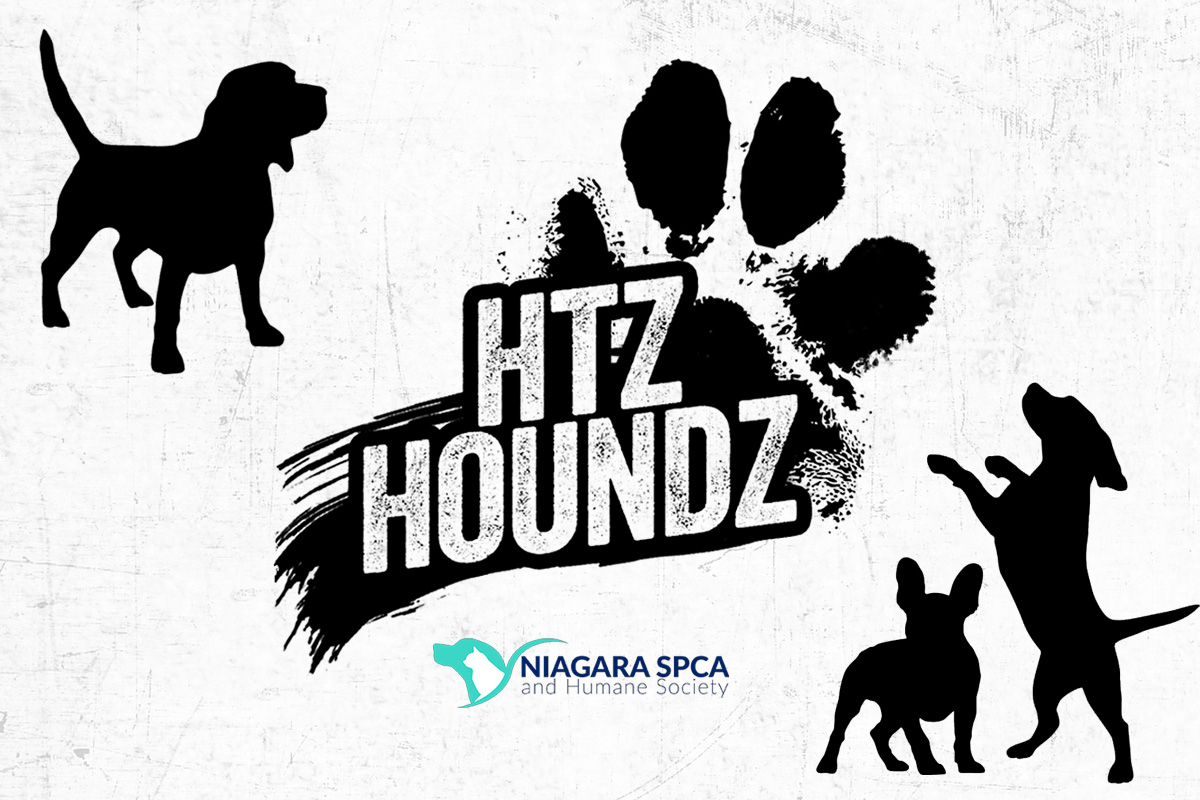 HTZ Houndz logo with silhouettes of dogs