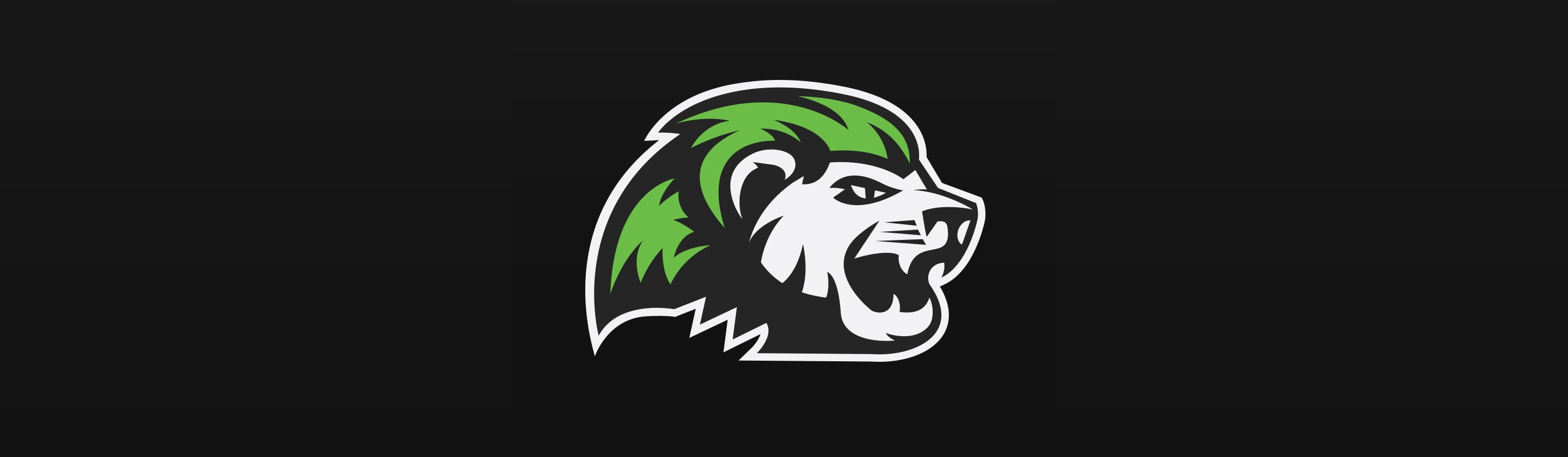 Niagara River Lions logo on gray background