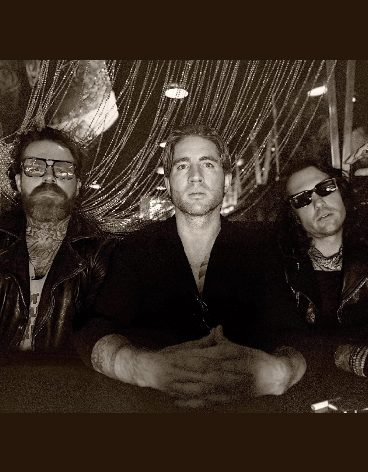 The Stone Vultures band photo